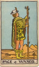 Page / Princess of wands